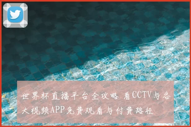 世界杯直播平台全攻略 看CCTV与各大视频APP免费观看与付费路径