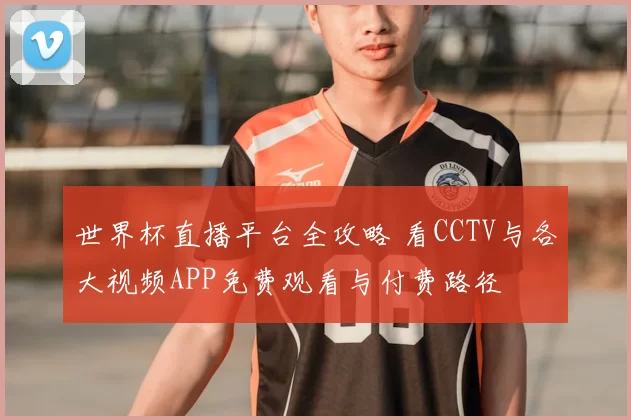 世界杯直播平台全攻略 看CCTV与各大视频APP免费观看与付费路径