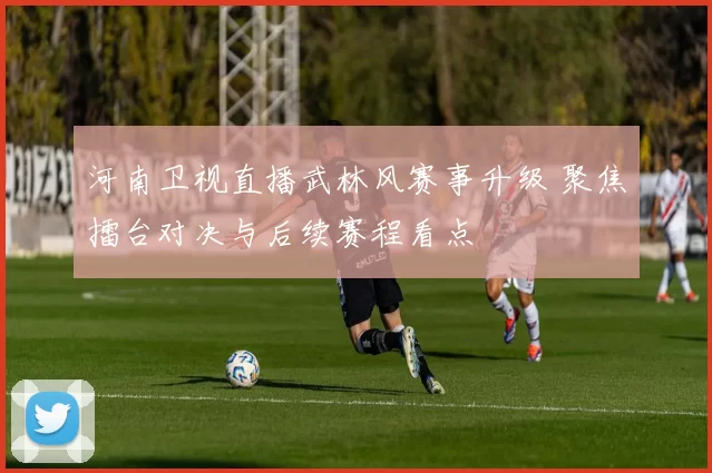 河南卫视直播武林风赛事升级 聚焦擂台对决与后续赛程看点